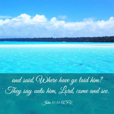 Picture 03 - John 11:34 ASV - and said, Where have ye laid him? They say unto - Bible Verse Picture