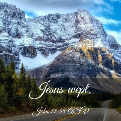Picture 03 - John 11:35 ASV - Jesus - Bible Verse Picture