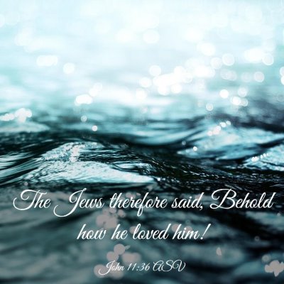 Picture 03 - John 11:36 ASV - The Jews therefore said, Behold how he loved - Bible Verse Picture