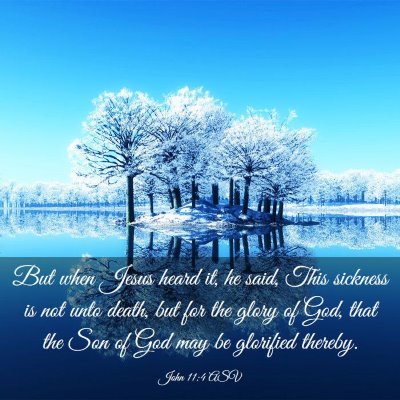 Picture 03 - John 11:4 ASV - But when Jesus heard it, he said, This sickness - Bible Verse Picture