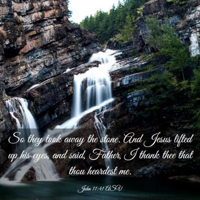 Picture 03 - John 11:41 ASV - So they took away the stone. And Jesus lifted up - Bible Verse Picture