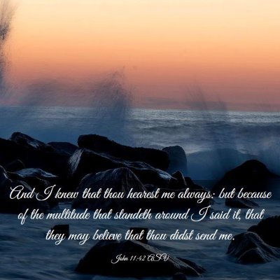 Picture 03 - John 11:42 ASV - And I knew that thou hearest me always: but - Bible Verse Picture