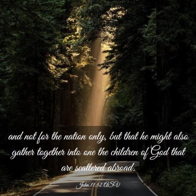 Picture 03 - John 11:52 ASV - and not for the nation only, but that he might - Bible Verse Picture
