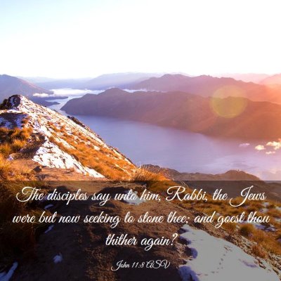 Picture 03 - John 11:8 ASV - The disciples say unto him, Rabbi, the Jews were - Bible Verse Picture