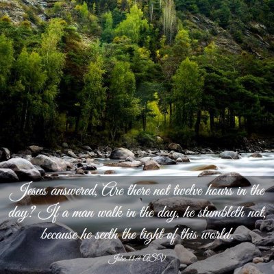 Picture 03 - John 11:9 ASV - Jesus answered, Are there not twelve hours in the - Bible Verse Picture