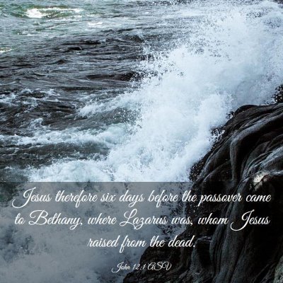 Picture 03 - John 12:1 ASV - Jesus therefore six days before the passover came - Bible Verse Picture