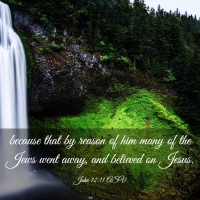 Picture 03 - John 12:11 ASV - because that by reason of him many of the Jews - Bible Verse Picture