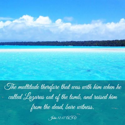 Picture 03 - John 12:17 ASV - The multitude therefore that was with him when he - Bible Verse Picture