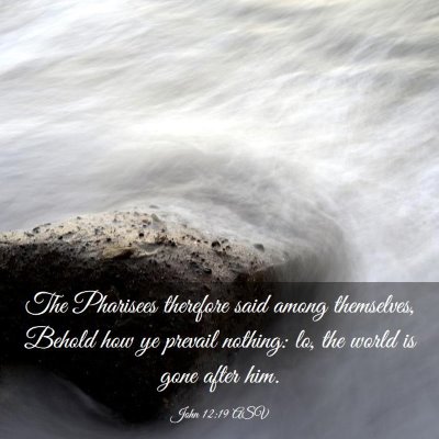 Picture 03 - John 12:19 ASV - The Pharisees therefore said among themselves, - Bible Verse Picture