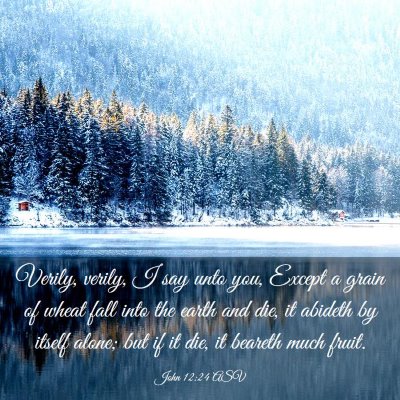 Picture 03 - John 12:24 ASV - Verily, verily, I say unto you, Except a grain of - Bible Verse Picture
