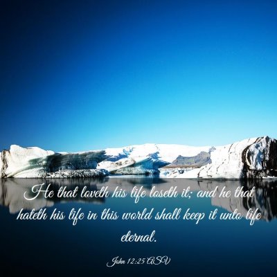 Picture 03 - John 12:25 ASV - He that loveth his life loseth it; and he that - Bible Verse Picture