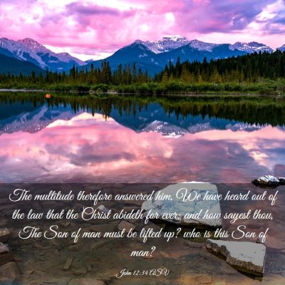 Picture 03 - John 12:34 ASV - The multitude therefore answered him, We have - Bible Verse Picture