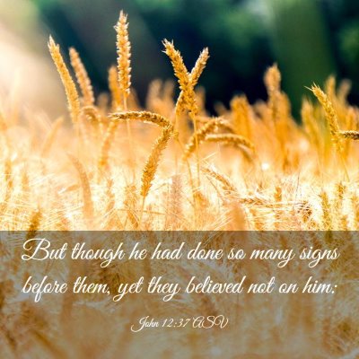Picture 03 - John 12:37 ASV - But though he had done so many signs before them, - Bible Verse Picture