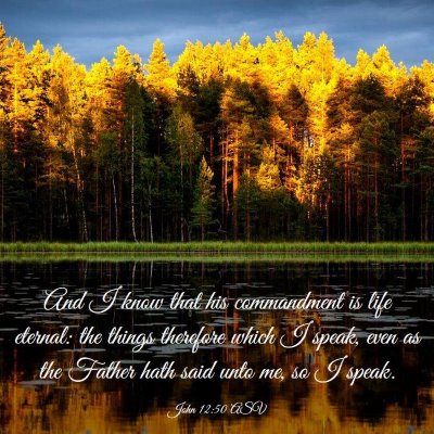 Picture 03 - John 12:50 ASV - And I know that his commandment is life eternal: - Bible Verse Picture