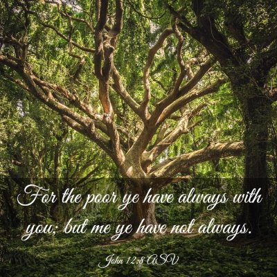 Picture 03 - John 12:8 ASV - For the poor ye have always with you; but me ye - Bible Verse Picture