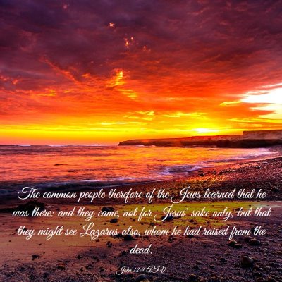 Picture 03 - John 12:9 ASV - The common people therefore of the Jews learned - Bible Verse Picture