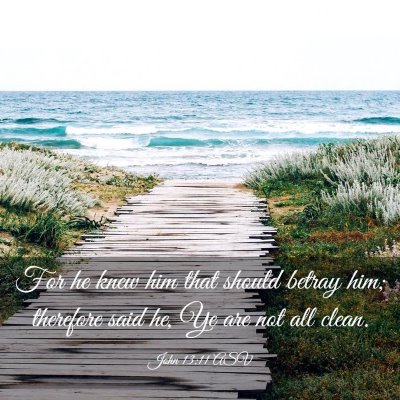 Picture 03 - John 13:11 ASV - For he knew him that should betray him; therefore - Bible Verse Picture