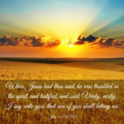 Picture 03 - John 13:21 ASV - When Jesus had thus said, he was troubled in the - Bible Verse Picture