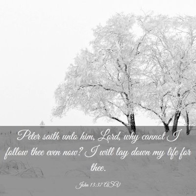 Picture 03 - John 13:37 ASV - Peter saith unto him, Lord, why cannot I follow - Bible Verse Picture