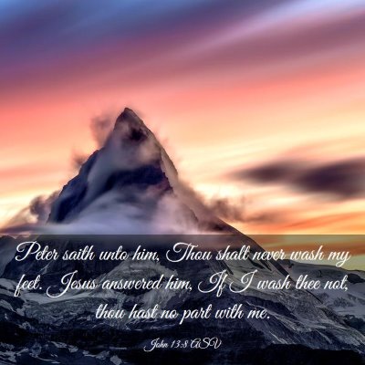Picture 03 - John 13:8 ASV - Peter saith unto him, Thou shalt never wash my - Bible Verse Picture