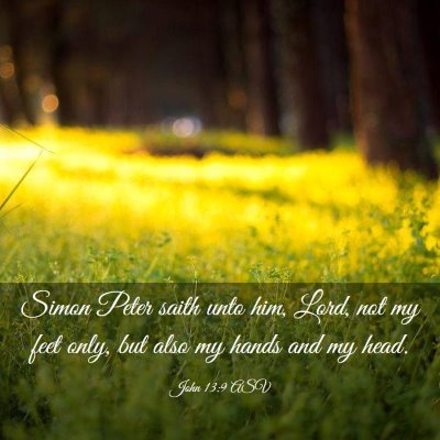 Picture 03 - John 13:9 ASV - Simon Peter saith unto him, Lord, not my feet - Bible Verse Picture