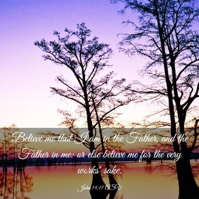 Picture 03 - John 14:11 ASV - Believe me that I am in the Father, and the - Bible Verse Picture