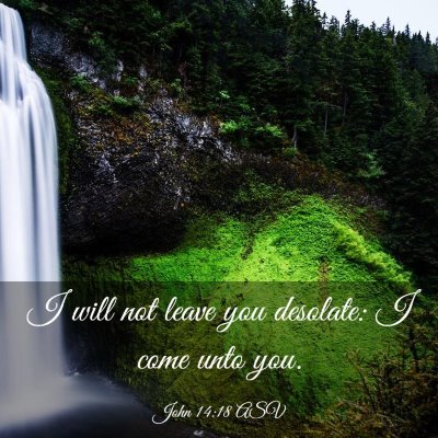 Picture 03 - John 14:18 ASV - I will not leave you desolate: I come unto - Bible Verse Picture