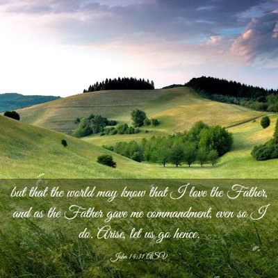 Picture 03 - John 14:31 ASV - but that the world may know that I love the - Bible Verse Picture