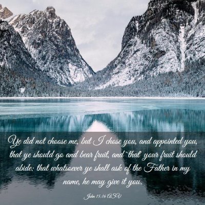Picture 03 - John 15:16 ASV - Ye did not choose me, but I chose you, and - Bible Verse Picture