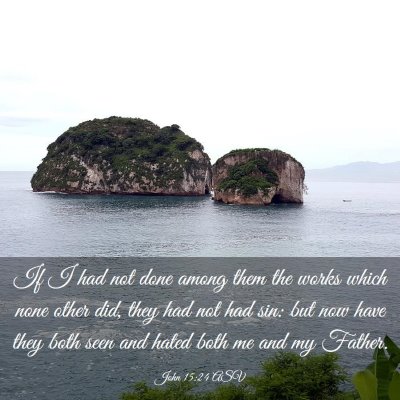 Picture 03 - John 15:24 ASV - If I had not done among them the works which none - Bible Verse Picture
