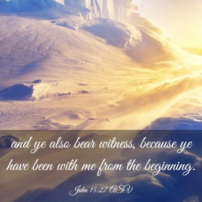 Picture 03 - John 15:27 ASV - and ye also bear witness, because ye have been - Bible Verse Picture