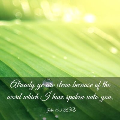Picture 03 - John 15:3 ASV - Already ye are clean because of the word which I - Bible Verse Picture