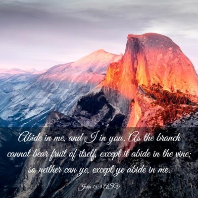 Picture 03 - John 15:4 ASV - Abide in me, and I in you. As the branch cannot - Bible Verse Picture