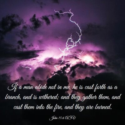 Picture 03 - John 15:6 ASV - If a man abide not in me, he is cast forth as a - Bible Verse Picture