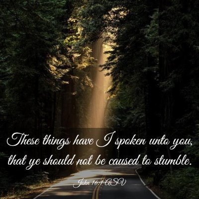 Picture 03 - John 16:1 ASV - These things have I spoken unto you, that ye - Bible Verse Picture