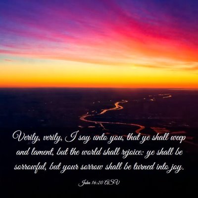 Picture 03 - John 16:20 ASV - Verily, verily, I say unto you, that ye shall - Bible Verse Picture