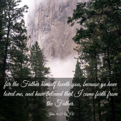 Picture 03 - John 16:27 ASV - for the Father himself loveth you, because ye - Bible Verse Picture