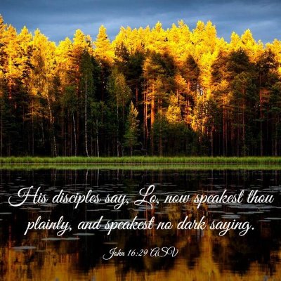 Picture 03 - John 16:29 ASV - His disciples say, Lo, now speakest thou plainly, - Bible Verse Picture