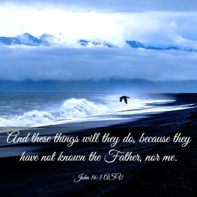 Picture 03 - John 16:3 ASV - And these things will they do, because they have - Bible Verse Picture