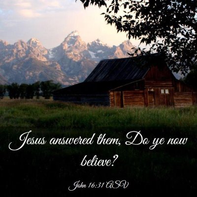 Picture 03 - John 16:31 ASV - Jesus answered them, Do ye now - Bible Verse Picture