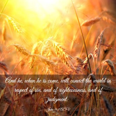 Picture 03 - John 16:8 ASV - And he, when he is come, will convict the world - Bible Verse Picture