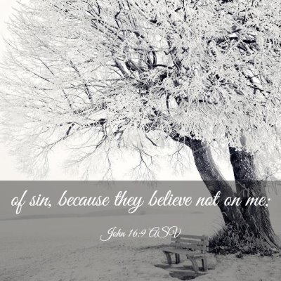 Picture 03 - John 16:9 ASV - of sin, because they believe not on - Bible Verse Picture