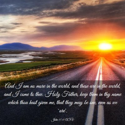 Picture 03 - John 17:11 ASV - And I am no more in the world, and these are in - Bible Verse Picture