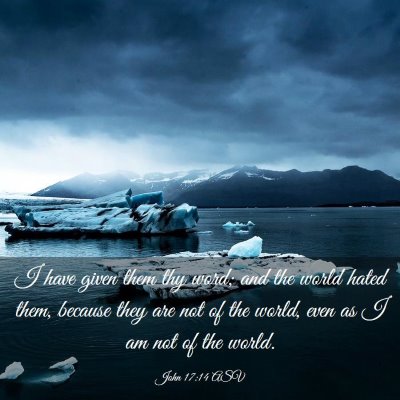 Picture 03 - John 17:14 ASV - I have given them thy word; and the world hated - Bible Verse Picture