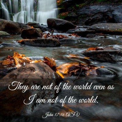 Picture 03 - John 17:16 ASV - They are not of the world even as I am not of the - Bible Verse Picture