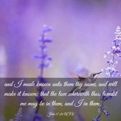 Picture 03 - John 17:26 ASV - and I made known unto them thy name, and will - Bible Verse Picture