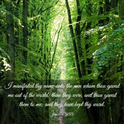 Picture 03 - John 17:6 ASV - I manifested thy name unto the men whom thou - Bible Verse Picture