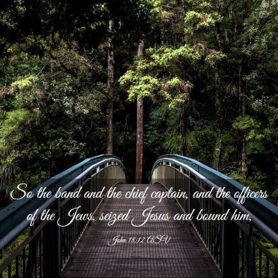 Picture 03 - John 18:12 ASV - So the band and the chief captain, and the - Bible Verse Picture