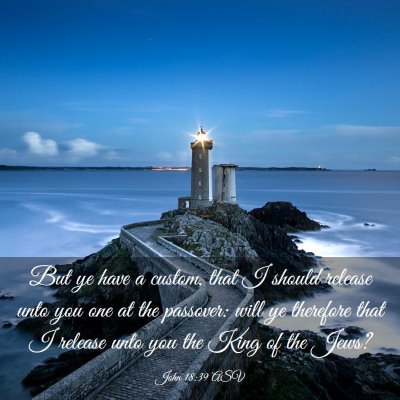 Picture 03 - John 18:39 ASV - But ye have a custom, that I should release unto - Bible Verse Picture