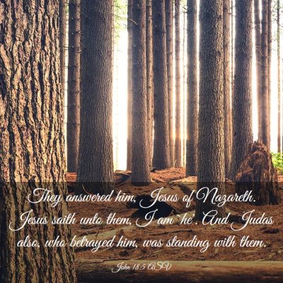 Picture 03 - John 18:5 ASV - They answered him, Jesus of Nazareth. Jesus saith - Bible Verse Picture